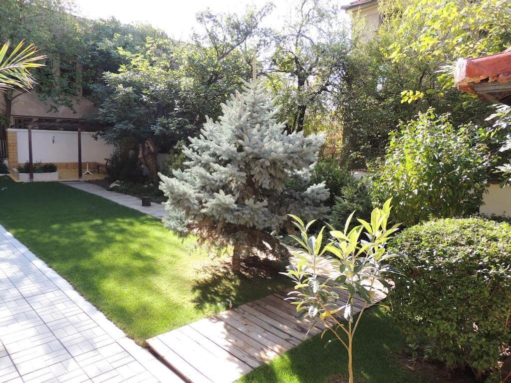 Fantasy Apartaments And Studios Avenue Комплекс Фантазия Хисаря Buitenkant foto